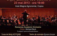 Eveniment caritabil – Un sunet în tăcere