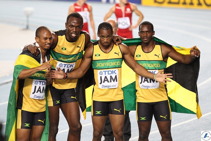 jamaicanii